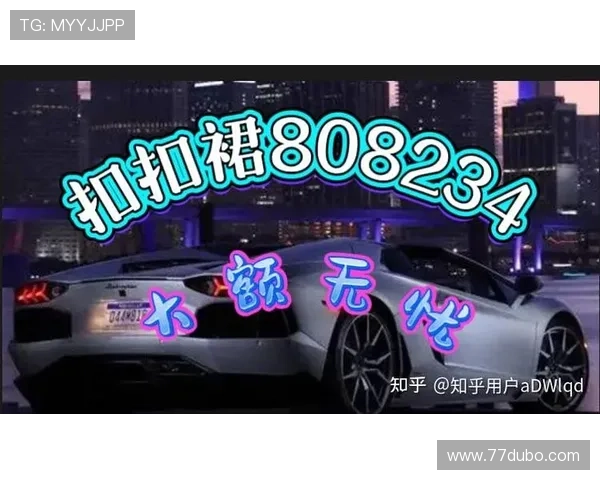 探索加拿大市场：PC预测准确率100%的软件应用与优势